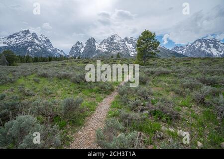 escursioni intorno al lago jenny, grande parco nazionale teton nel wyoming negli stati uniti Foto Stock