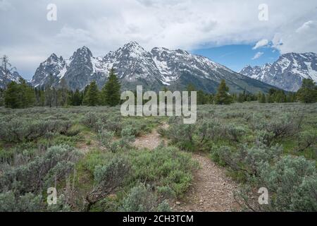 escursioni intorno al lago jenny, grande parco nazionale teton nel wyoming negli stati uniti Foto Stock