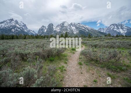 escursioni intorno al lago jenny, grande parco nazionale teton nel wyoming negli stati uniti Foto Stock