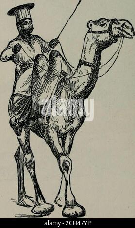 . La scienza delle ferrovie . L'adattabilità del cammello ai fini del trasporto è illustrata quainlyfigura. Ovunque sia messo, sia che si tratti di un carico o di un carro o di un aratro, lo troviamo ugualmente docUe. Un personaggio notevole di Bombay che fa bis modo di sghidare le strade della città CARROZZA IX INDIA. 167 Foto Stock