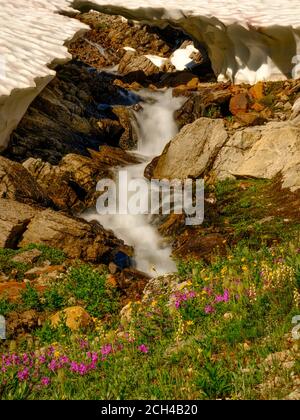 Cascate di Glacier, Banff National Park, Alberta, Canada. Foto Stock