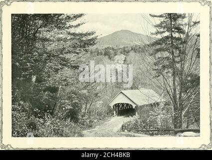 . Montagne del New England . ^^^ STRADA PER il FIUME Franconia Notch, NRW Hampshire ^^ raggiungibile da Betlemme Junction e North i Flounds Tok, sulla White Alountains Division, Boston e Maine R.. Foto Stock