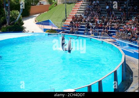 Delfini che saltano fuori dall'acqua sulla piscina dello zoo marina, Albufeira, Portogallo Foto Stock