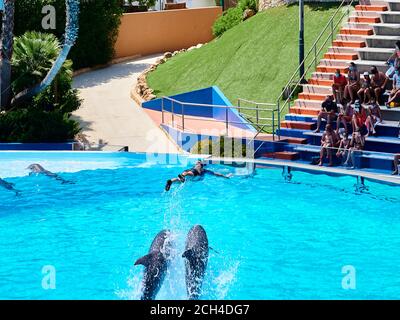 Delfini che saltano fuori dall'acqua sulla piscina dello zoo marina, Albufeira, Portogallo Foto Stock