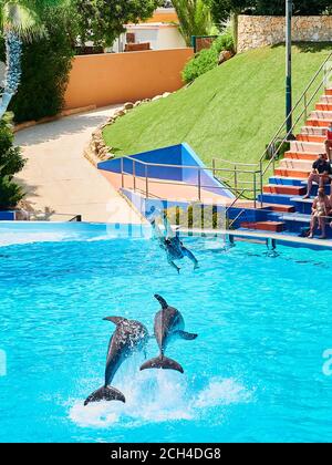 Delfini che saltano fuori dall'acqua sulla piscina dello zoo marina, Albufeira, Portogallo Foto Stock