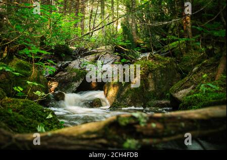 Flusso magico del fiume della cascata trovato da qualche parte in profondità nel bosco Foto Stock