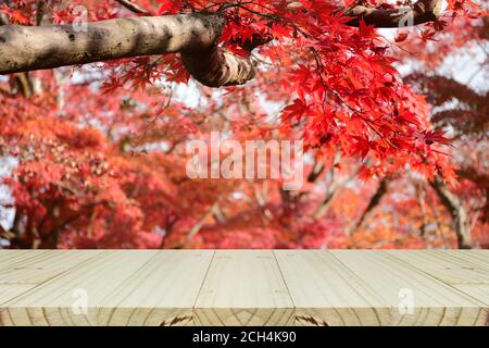 Contatore in legno prospettiva con giardino di acero giapponese completamente rosso in autunno. Montaggio foto su ripiano in legno per l'esposizione dei prodotti. Foto Stock