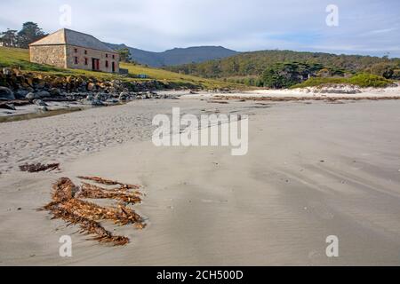 Darlington Beach e il Commissariat Store sull'Isola di Maria Foto Stock