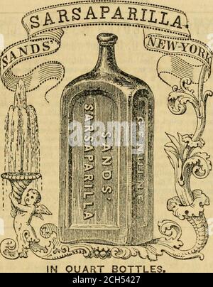 . Guida ferroviaria di Wilson da New-York a Washington; con mappe di New-York, Filadelfia e Baltimora; e mappe delle sezioni dei percorsi . BOTTIGLIE DI QUARTO. Per la rimozione e permanente Ctireof tutte le malattie arisin&lt;r froman stato impuro del sangue o abitudine del sistema.i proprietari hanno speso molto tempo nel portare questa preparazione di Sarsaparilla al suo stato attuale di jierfezione; e l'esperienza offourteen anni ha fornito loro la più ampia opportunità di studiare, nelle loro varie forme, le malattie per cui è raccomandato, e toadate esattamente al loro sollievo e cura. Foto Stock