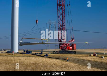 Gru gigante che solleva la pala della turbina eolica da collegare alla navicella durante la costruzione di un parco eolico a Rio Vista California, vicino a Sacramento, per Sacramento Foto Stock