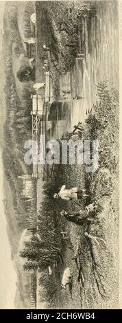 . Vista sulla ferrovia di Newcastle e Carlisle. Elow l'hotel, e plea-sant passeggiate si formano attraverso i boschi, che portano alle sorgenti, per l'alloggio di visitatori thenumous. Dalla salubrità dell'aria, dalle proprietà medicinali molto apprezzate delle sue acque, dalla grande bellezza pittoresca della sua posizione, unita alla rapidità e facilità della Ferrovia, di comunicare con luoghi lontani, Gilsland sta diventando una delle più apprezzate localita' interne nelle contee settentrionali. Agli ammiratori delle ricerche antiquarie il quartiere offre molti oggetti interessanti, essendo Foto Stock