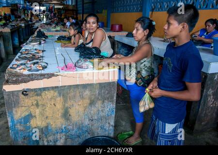 Una famiglia mostra la loro cattura di piranha al mercato del pesce in Indiana, una città sul fiume Amazon in Perù. Foto Stock