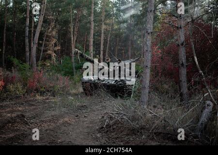 Soviet panzer T-64 nella foresta d'autunno Foto Stock