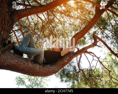 Un uomo sta riposando su un ramo in una foresta estiva. Foto Stock