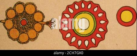. Le tribù e le caste delle Province centrali dell'India . Foto Stock