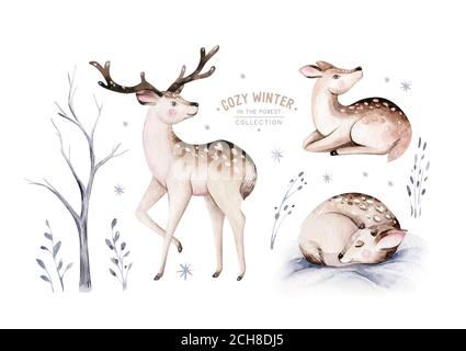 Acquerello inverno foresta animali cervi isolato su sfondo bianco. Set di nimals selvaggi fawn della foresta. Carta di natale invernale dipinta a mano Foto Stock