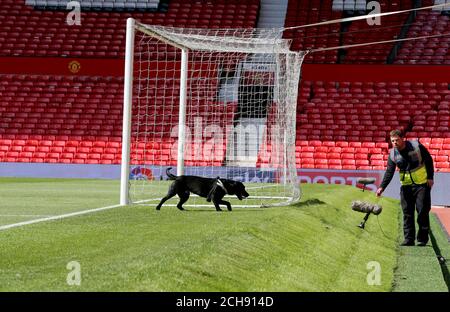 Un cane da cecchino in campo dopo un allarme di sicurezza alla partita Barclays Premier League a Old Trafford, Manchester. Foto Stock