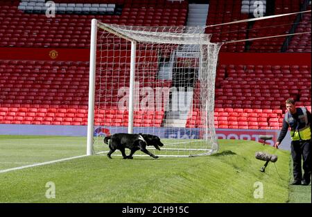 Un cane da cecchino in campo dopo un allarme di sicurezza durante la partita Barclays Premier League a Old Trafford, Manchester. Foto Stock