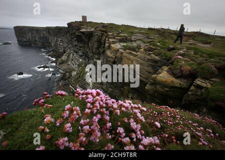 I visitatori camminano lungo le cime delle scogliere alte sopra il mare A Marwick Head in Orkney