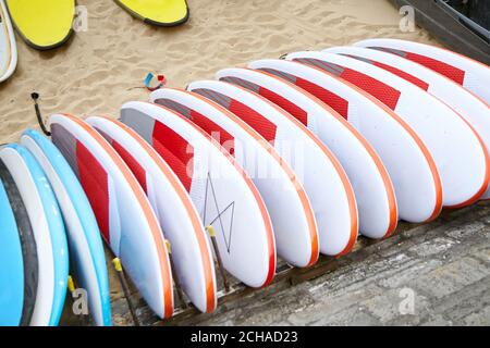 Molte tavole da surf sulla spiaggia di sabbia Foto Stock