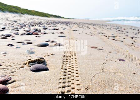 Pista per pneumatici per bici o moto o traccia nella sabbia Sulla riva con il Mar Baltico e le dune sullo sfondo Foto Stock