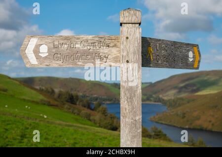 Segnale,per,Glyndwr's Way,National Trail,escursioni,sentiero,percorso,mozzafiato,paesaggio,a,Foresta di Hafren,Llyn Clywedog,lago,lago Clywedog,lago,lago,lago,lago,lago,situato,vicino,mercato,città,mercato, di,Llanidloes,Mid,Galles,Galles,Welsh,A,fantastico,ottimo,posto,per,escursioni,o,bicicletta,bicicletta,corsa. Il lago è popolare tra i pescatori e gli amanti della natura all'aperto. Foto Stock