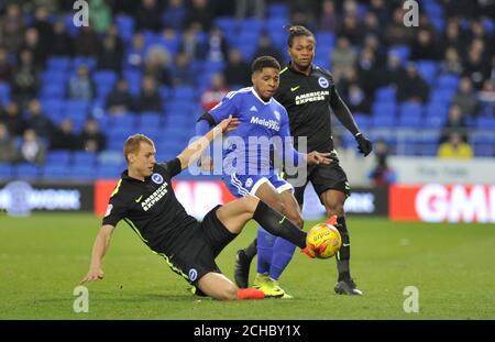 Kadeem Harris di Cardiff City (a destra) e Steve Sidwell di Brighton e Hove Albion in azione durante la partita del campionato Sky Bet al Cardiff City Stadium. PREMERE ASSOCIAZIONE foto. Data immagine: Sabato 3 dicembre 2016. Vedi PA storia CALCIO Cardiff. Il credito fotografico dovrebbe essere: Simon Galloway/PA Wire. RESTRIZIONI: SOLO USO EDITORIALE non utilizzare con audio, video, dati, elenchi di apparecchi, logo di club/campionato o servizi "live" non autorizzati. L'uso in-match online è limitato a 75 immagini, senza emulazione video. Nessun utilizzo nelle scommesse, nei giochi o nelle pubblicazioni di singoli club/campionati/giocatori. Foto Stock