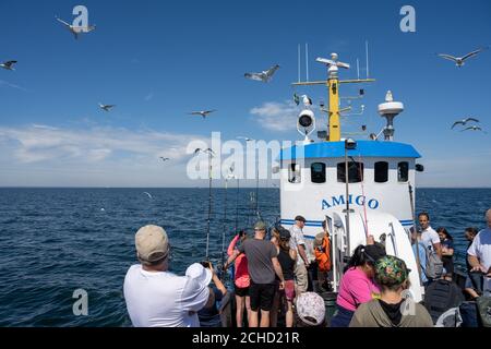 Malmo, Svezia - 6 agosto 2020: Persone in un viaggio di pesca in cerca di Codfish e sgombro. Oceano blu e cielo sullo sfondo Foto Stock