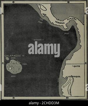 . Vita insulare : o, i fenomeni e le cause delle faune insulari e dei fiori, compresa una revisione e una tentata soluzione del problema dei climi geologici . Le Azzorre, sono arevulcaniche, ma sono molto più estese, le isole essendo sia più grandi e più numerosi; mentre vulcanicaction è stato così recente che una gran parte della superficie è costituita da aridi campi lavici. Sono lontane da un continente senza considerabili rispetto alle Azzorre o alle Bermuda, essendo a circa 600 miglia dalla costa occidentale del Sud America e a poco più di 700 da Veragua, con l'intervento delle piccole Isole Cocos; Foto Stock
