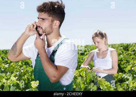 vintner che parla sul telefono cellulare in vigna Foto Stock