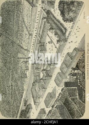 . Les merveilles du nouveau Paris-- . jardins sont éclairés par Plus decent mille becs de gaz. Le public fait du Pré-Catelan lungomare preferito. Dans le bois de Boulogne se trouvent aussi le château dela Muette, bâti par Louis XV, sur lemplacement du rendez-vous de chasse de Charles IX, demeure royale transforméeen établissement dorthopédie; le château de Madrid, élevépar François Ier, et qui devint sous Henri III une ménagerie,puis un chenil, abattu sous Louis XVI et relevé par sonfrère, le comte Dartois, sous le nom de Bagatelle. CEST à LaMuette Muque Marie-Antoinette coucha la veille de son Foto Stock