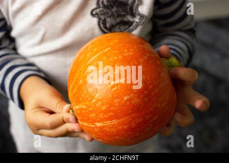 Piccola zucca organica arancione nelle mani dei bambini. Autunno, Autunno, Ringraziamento, Halloween Concept. Foto Stock