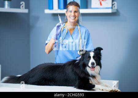Veterinario femminile vaccinare un cane in clinica Foto Stock