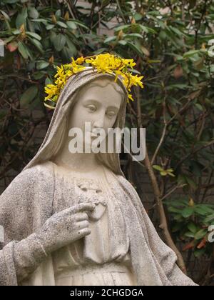 Una statua della Vergine Maria è stata data a. corona di fiori di forsizia in una cerimonia devozionale chiamata il L'incoronazione della Madonna di solito a maggio Foto Stock