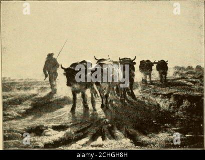 . La Genesi dell'arte-forma : un saggio in tecnica comparativa che mostra l'identità delle fonti, dei metodi e degli effetti della composizione nella musica, nella poesia, nella pittura, nella scultura e nell'architettura . -. Con poca eccezione, il corone di spettatori, che riempiono un anfiteatro sopra, risponde a questo appello stendendo una mano verso il gladiatore, con il pollice verso il basso, indicando così il loro desiretto di fargli non mostrare misericordia al suo antagonista caduto. Naturalmente, tutte le braccia estese, puntando come fanno, l'attenzione diretta al gladiatore come l'oggetto principale di. FIQ. 50.-BOVINI-C. TROYON.vedere le pagine Foto Stock