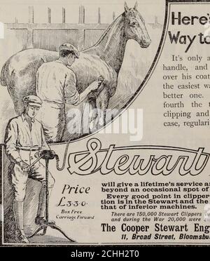 . La rivista del Ministero dell'Agricoltura. E l’indubbio successo di Liverpool Virus ha causato una buona dose di travisamento. Quando si acquista Liverpool Virus essere sicuro che è contrassegnato LIVERPOOL Virus. È la vostra salvaguardia. SOCIETÀ COOPERATIVA ALL'INGROSSO IL.IIVCCITE3D. Sede legale: 95, Moppison Street, GLASGOW. Stabilito 1868. Fatturato annuo: 27i MILIONI. SEJEJD AXN WAHE Potato Merchants e Growers. Potato Depments: 95, Moppison Stpeet, GLASGOW,Links Place, LEITH, andWoodstock Street, KILMARNOCK. Grandi biiyers di tutte le classi di patate. Hanno partecipato i principali mercati. Richieste di informazioni così Foto Stock