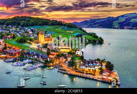 Castello di Spiez sul lago di Thun in Svizzera Foto Stock