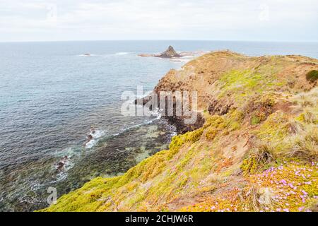 Piramide Rock Landscape a Philip Island Foto Stock