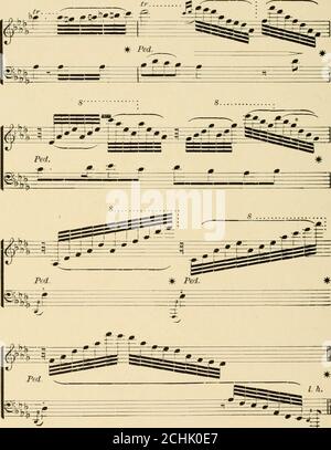 . La Genesi dell'arte-forma : un saggio in tecnica comparativa che mostra l'identità delle fonti, dei metodi e degli effetti della composizione nella musica, nella poesia, nella pittura, nella scultura e nell'architettura . cosa, e quest'ultima, il subordinato. Un'illustrazione completa della stessa differenza, che prevede una maggiore elaborazione delle caratteristiche subordinate, è fornita da una di quelle composizioni che vengono dette variazioni. In questi, mentre sentiamo i ceppi di una melodia familiare, non abbiamo dififericulticina che rileva il tema principale, nonostante le grandi differenze negli effetti di Foto Stock