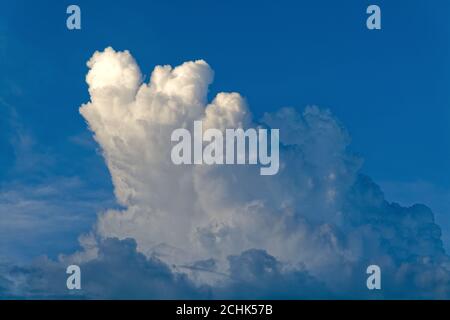 Formazione di nubi di cumulo scuro su uno sfondo blu molto scuro Foto Stock