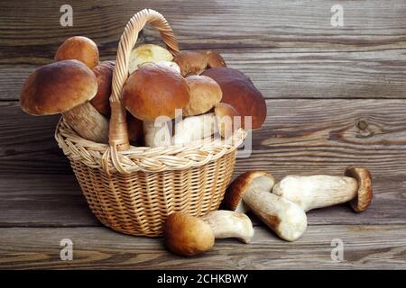 Funghi boletus su sfondo di legno. Funghi autunnali. Cibo Gourment Foto Stock