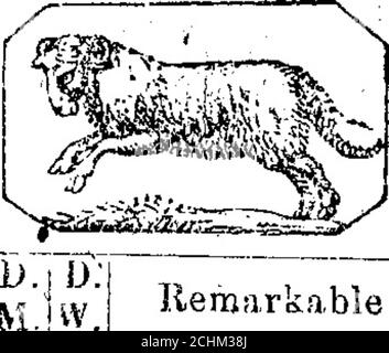 . Richardson's Virginia & North Carolina almanac, per l'anno di nostro Signore 1864 [risorsa elettronica]: Essere bisestile o bisestile anno, l'ottantottantottesimo di indipendenza americana, e il terzo degli stati confederati. Sant'Andrea 7 11 4 49 21 47 24 6 20 1 11 mesi; patate da presa trovano altre radici; seei.i*e. da bagnato e gelo; zucche col-lect ^e zucche invernali, e le espongono al vento e all'aria su una panca di Pry prima di essere stivate via; Cravatta su piante-cresciute-piene,di Endive in tempo secco per lo sbozzamento. Le holses di Artie di Gerusalemme che ha scavato in su per uso invernale. N.QVEMBER. Cavolo può essere Foto Stock