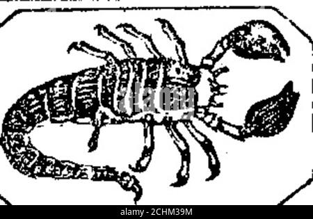 . Richardson's Virginia & North Carolina almanac, per l'anno di nostro Signore 1864 [risorsa elettronica]: Essere bisestile o bisestile anno, l'ottantottantottesimo di indipendenza americana, e il terzo degli stati confederati. 4 2541IV3IS!, 2355 ar 732 21 9&gt; C646i 2123!r 6 o! 2036!« 4131 1849! n 226l 15 3i 282l|osll44J 23 7 si 531! 1751. 29:17^1141! 22 4;- 4, 8 369.13 9 58 10 51 11 49morn 0 53 2 0 3 12 4 24rises 6 35 7 14 7 55 8 42 9 30 10 21 11 18morn0 11 poppe. 191 2 1 45 2 25 3 9 3 56 4 48 5 44 6 40 7 39 8 36 9 33 10 80 11 23 1 7 2 6 3 5; 3 59; 4 52; 5 47! morn 0 17 1 10 2 2 2 55 3 52 4 46 5 40 Foto Stock