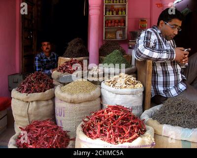 Negozio di alimentari in una strada centrale di Bikaner, Rajasthan. Due venditori sono visibili vicino a grandi sacchetti di cibo indiano. Foto Stock