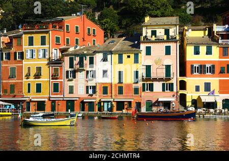 Case colorate nel porto di Portofino, Italia Foto Stock