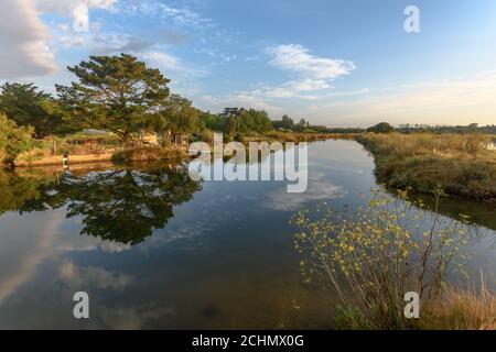 Bacino vicino alla produzione di sale nelle paludi saline in Francia Foto Stock