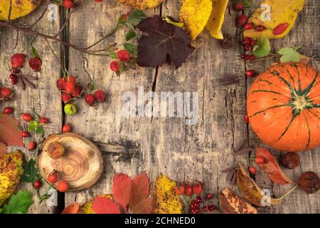 Bella composizione autunnale di bacche di zucca e foglie su uno sfondo naturale di legno. Foto Stock