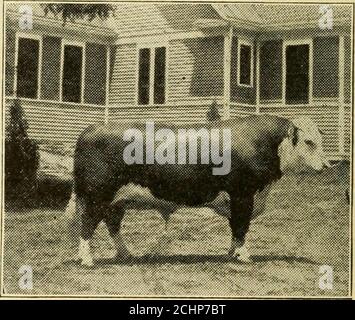 . La storia dell'agricoltura di Hale per date. Una semplice registrazione di eventi storici e vittorie di industrie pacifiche . oads nella mano.-jof un pool controllato da Coinmissioner Finkhad ha disposto una discriminazione contro la carne di manzo dressedbeef. L'azione intrapresa dai cattl.eraisers del Texas era come segue: Risolto, che wabeleve è all'interesse dei pro-ducer e dei consumatori come la promozione della concorrenza tra gli acquirenti nei nostri principali mercati occidentali e venditori di ainong nei mercati di Easternmarket che i tassi di trasporto di carne bovina onded e bestiame vivo sono come due tocne. Risolto, che sosteniamo la Commissione-. Foto Stock