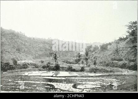 . Le grandi culture dell'isola di Giava. 30 foto . FORMA n. 310 ■:fl: :II;Hi mm.. ITumdatiii il .sawah prima di tilliiif. JHE QREAT QULTURES DELL'ISOLA DI GIAVA DI F. FOKKENS, RESIDENTE A MADURA. 30 fotografie. CON UNA PREFAZIONE 1^- PROF. DR. TREUB, DIRETTORE DEL DIPARTIMENTO AGRICOLO E DEL BOTANICGARDEN NELLE INDIE ORIENTALI OLANDESI. -:- -:- -:- -: Foto Stock