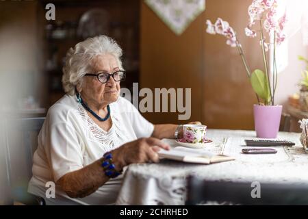 Ritratto di una donna anziana a casa sua Foto Stock